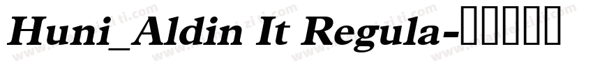 Huni_Aldin It Regula字体转换